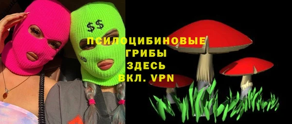 тгк Алзамай