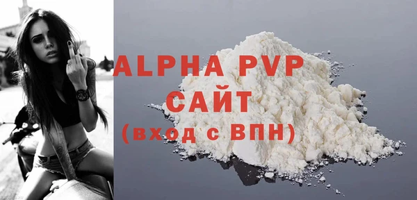 apvp Гусев
