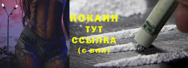 СК Алексин