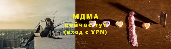 СК Алексин