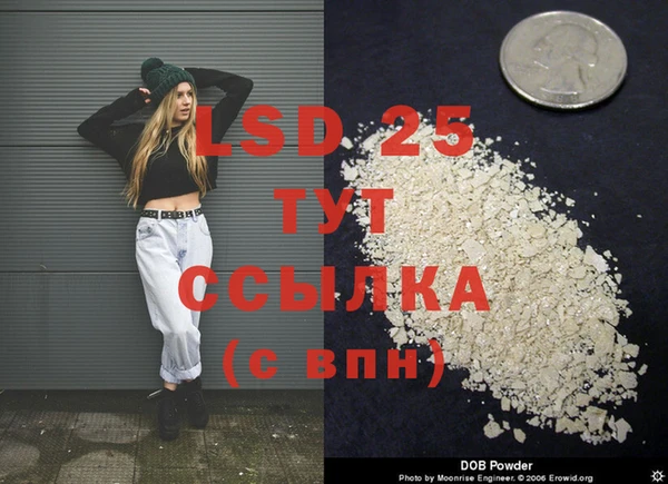 тгк Алзамай