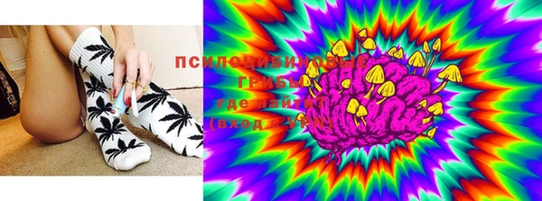 стафф Алексеевка
