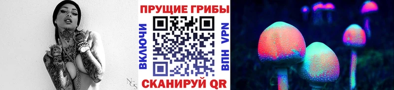 Галлюциногенные грибы мицелий  даркнет состав  Змеиногорск 