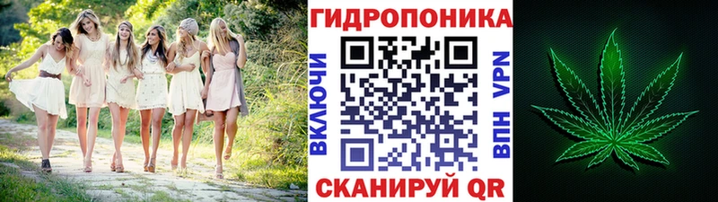 OMG вход  Змеиногорск  Шишки марихуана White Widow 